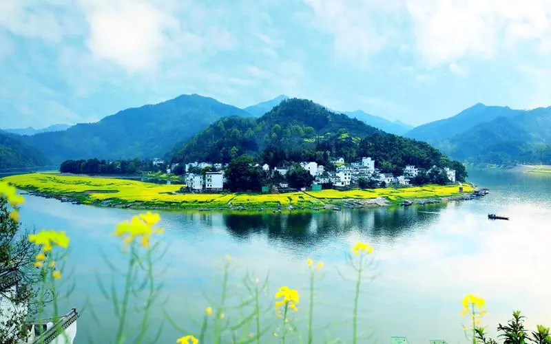 电流表怎么读数
